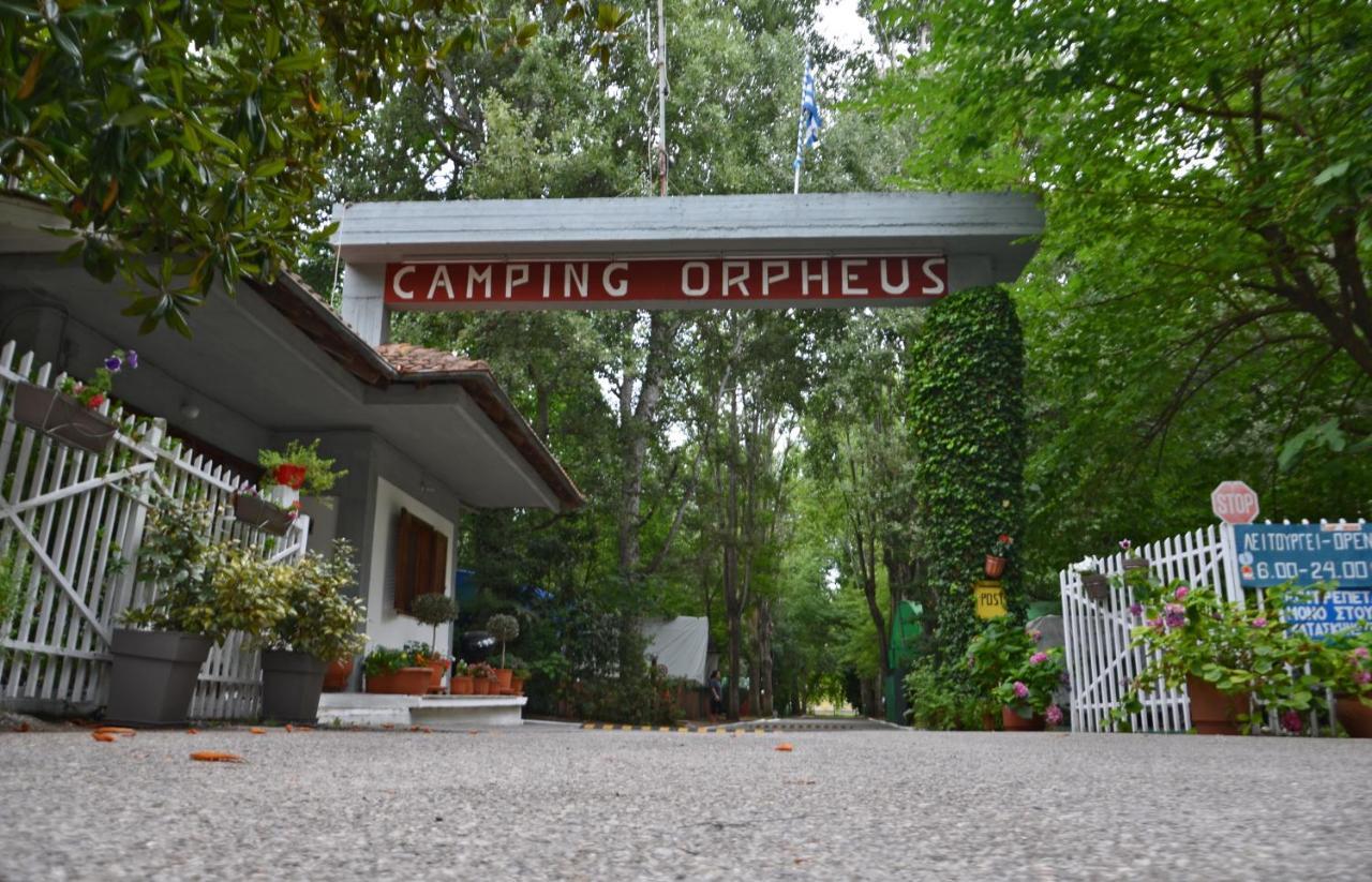 Orpheus * Neos Panteleimonas